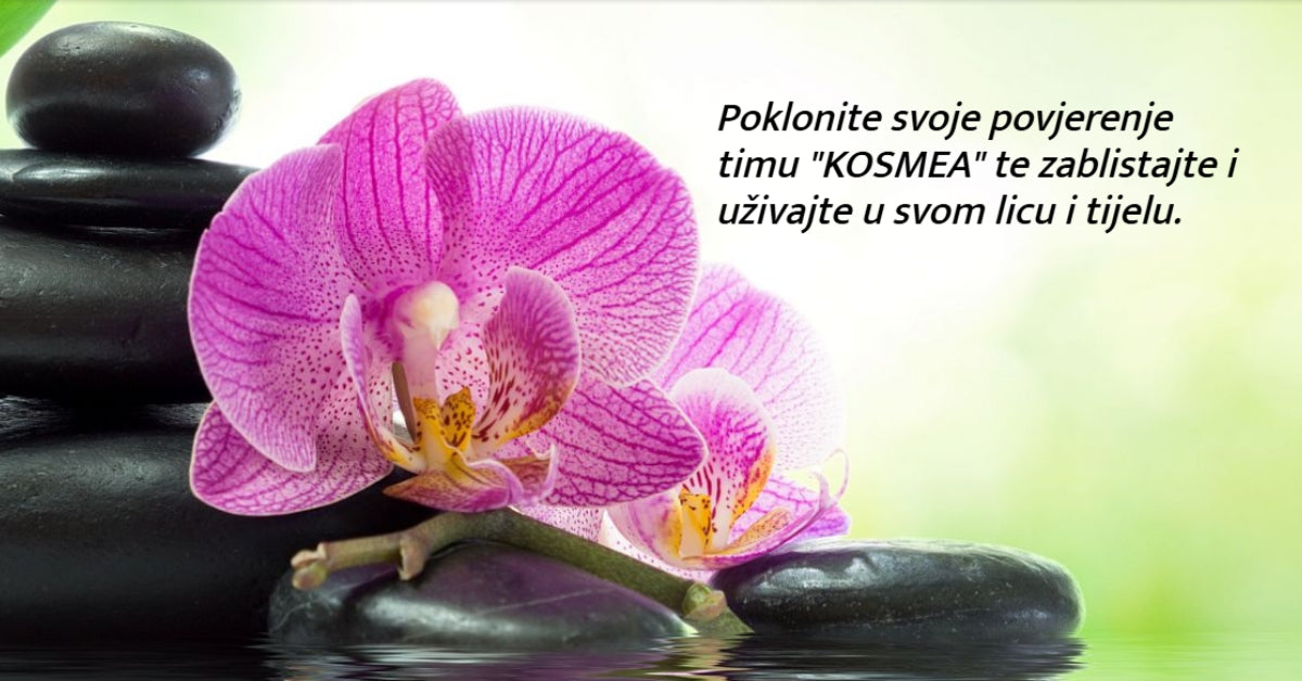 Salon KOSMEA su obogatili sa vrhunsko inovacijo – HydroArt Pro Max 17 u 1!