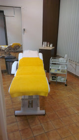 Terapevtska miza Master Fox-2241C