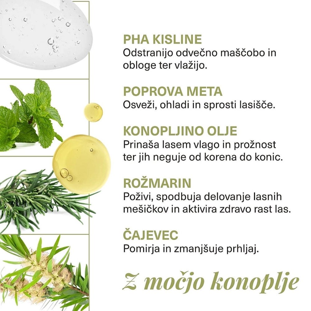 revive-cistilni-sampon