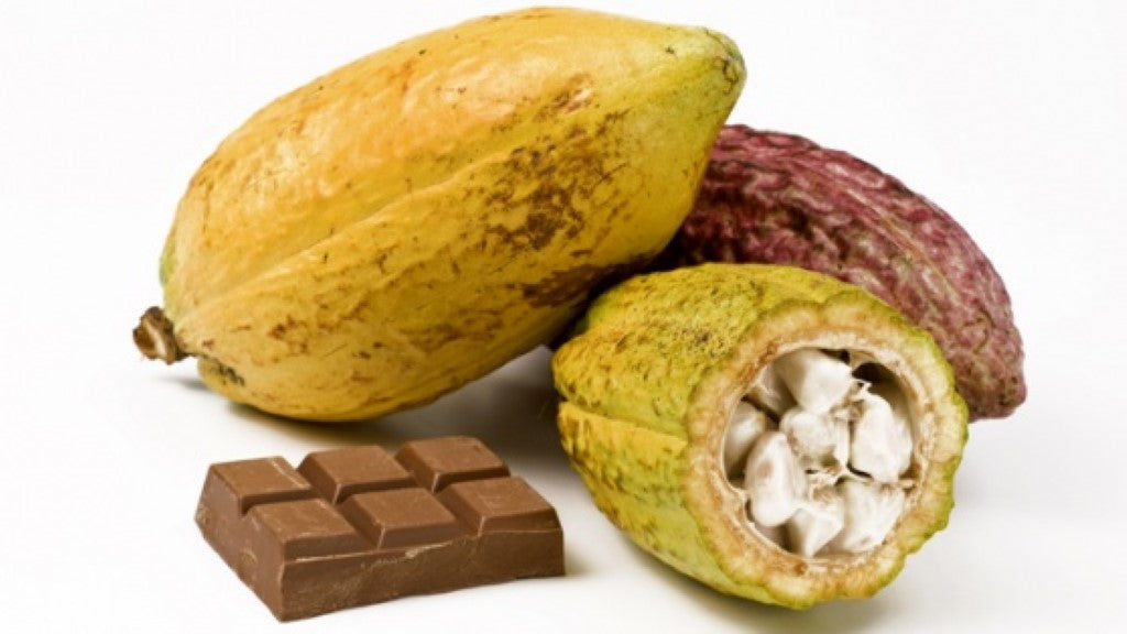 Kakavovo maslo | Aroma Herbal