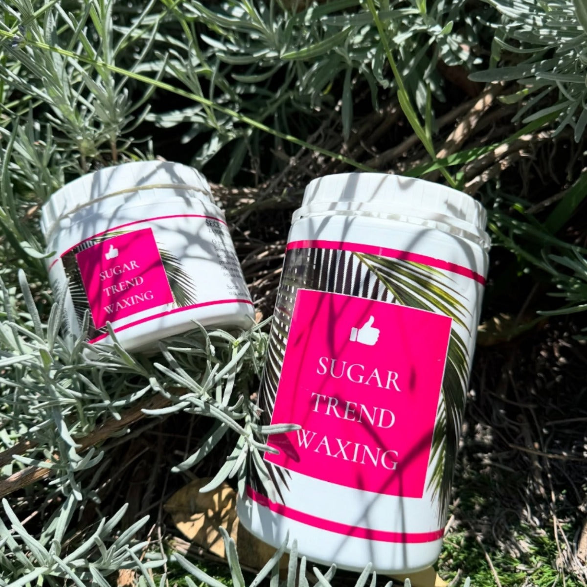 Sladkorna pasta Like Sugar 1500 g