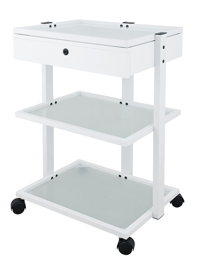 Voziček za odlaganje Fox-1040A Facile+