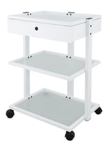 Voziček za odlaganje Fox-1040A Facile+